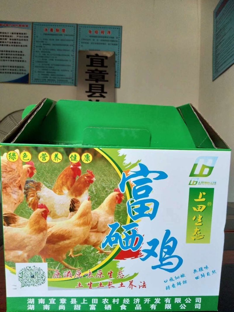生态放养鸡