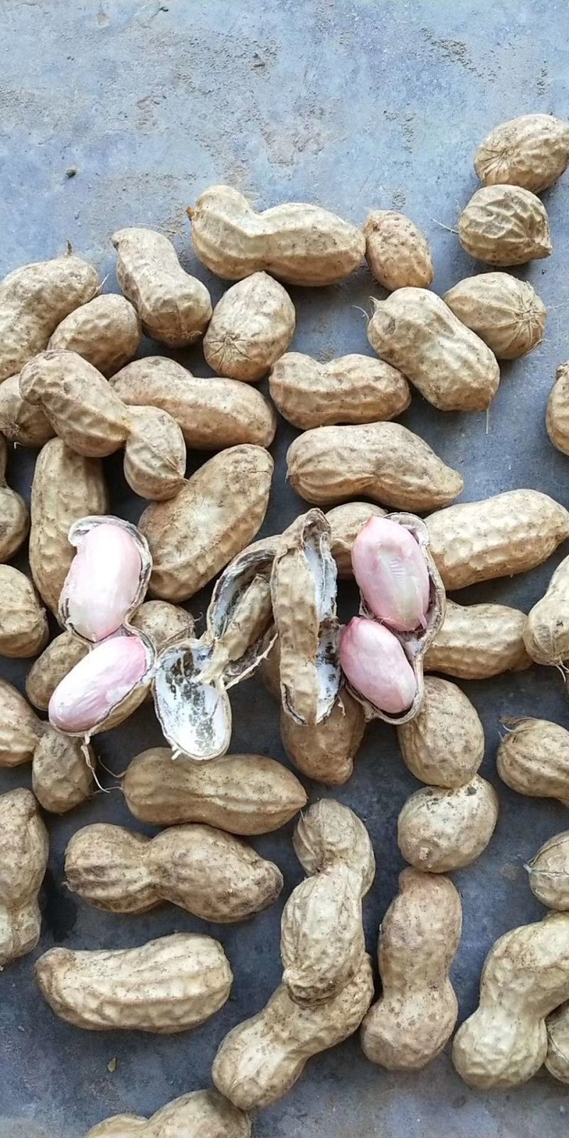 江苏大白沙大量有货