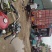 临朐葡萄基地冶源镇葡萄
