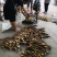 精品八月笋，别名大竹笋，40公分以内，产地直销