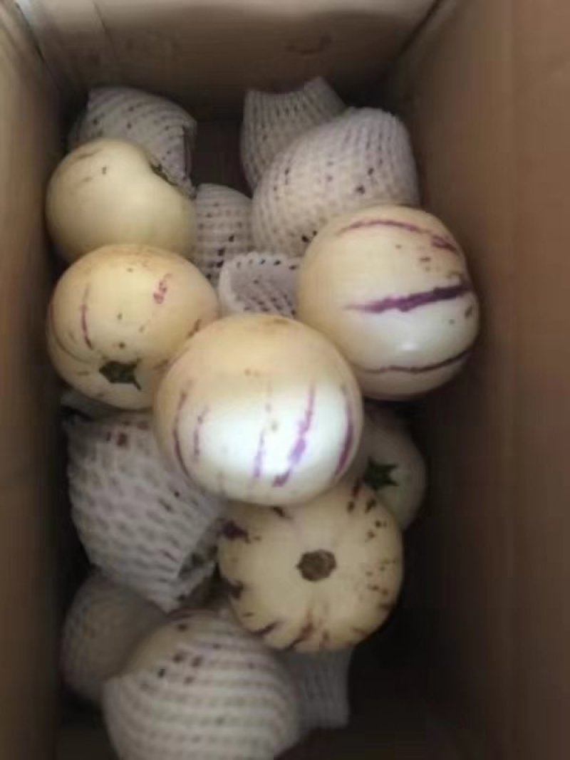 云南石林.人参果火热上市，，，，，，，，，，