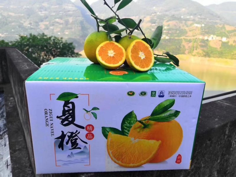 好‌消息！好湖‌北秭归‌夏橙‌活动来袭，，，，，，