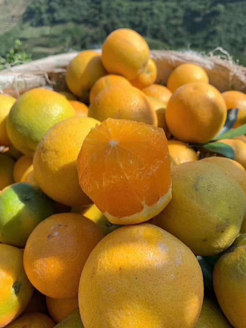 好‌消息！好湖‌北秭归‌夏橙‌活动来袭，，，，，，