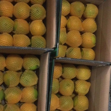 好‌消息！好湖‌北秭归‌夏橙‌活动来袭，，，，，，