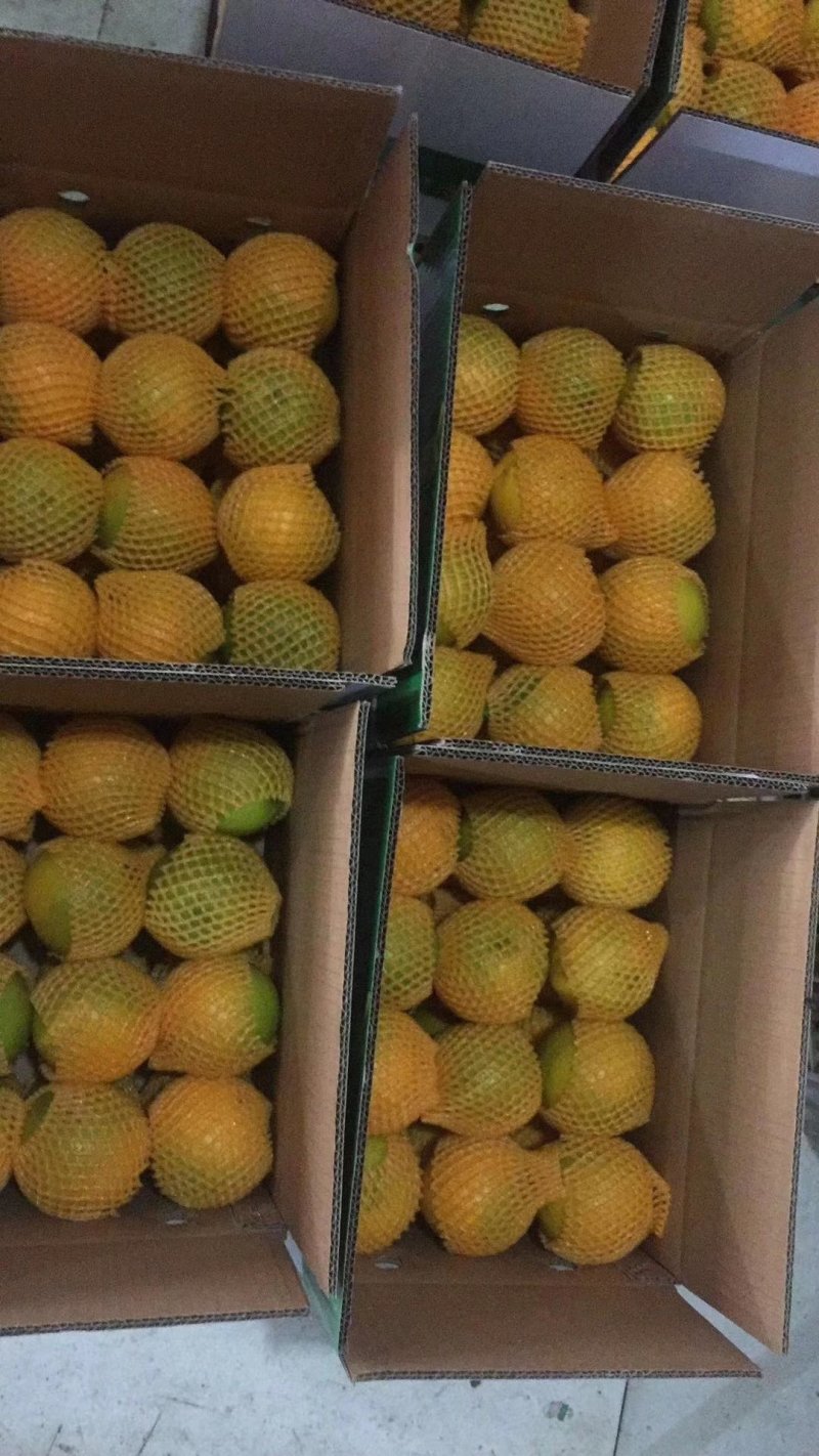 好‌消息！好湖‌北秭归‌夏橙‌活动来袭，，，，，，