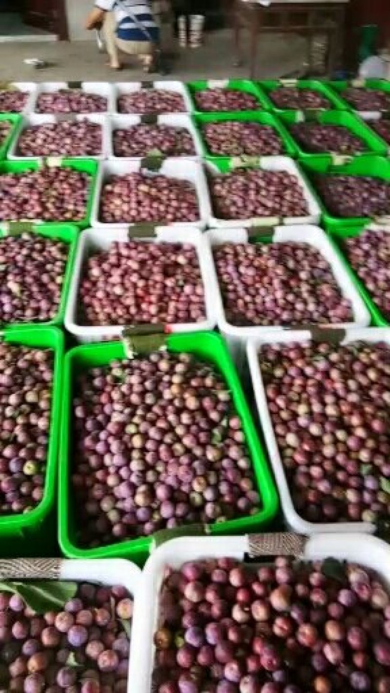 李子