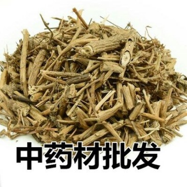 白毛藤千余品种供应承接订单