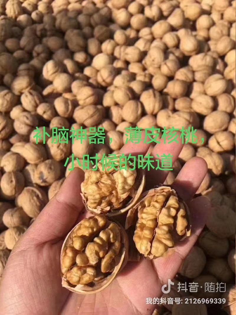 黄龙核桃