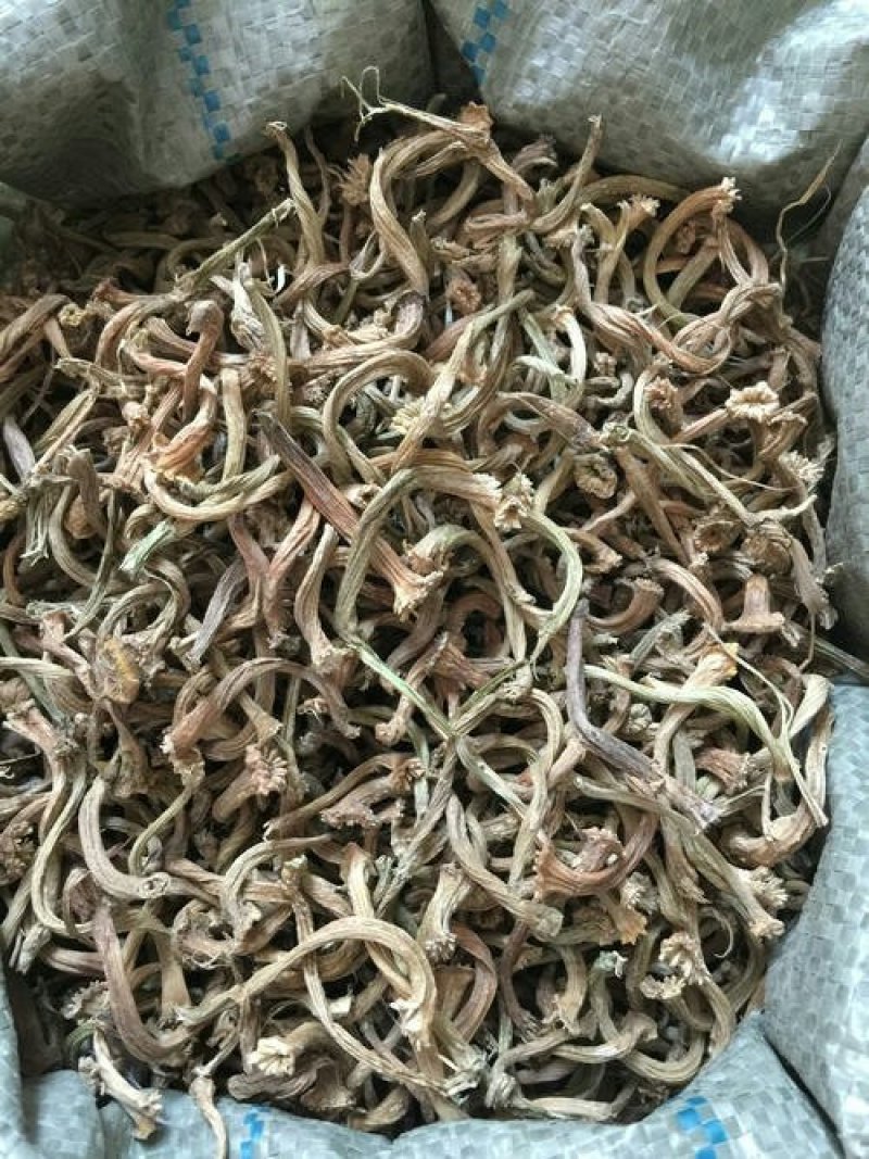 瓜蒂甜瓜蒂千余品种供应承接订单