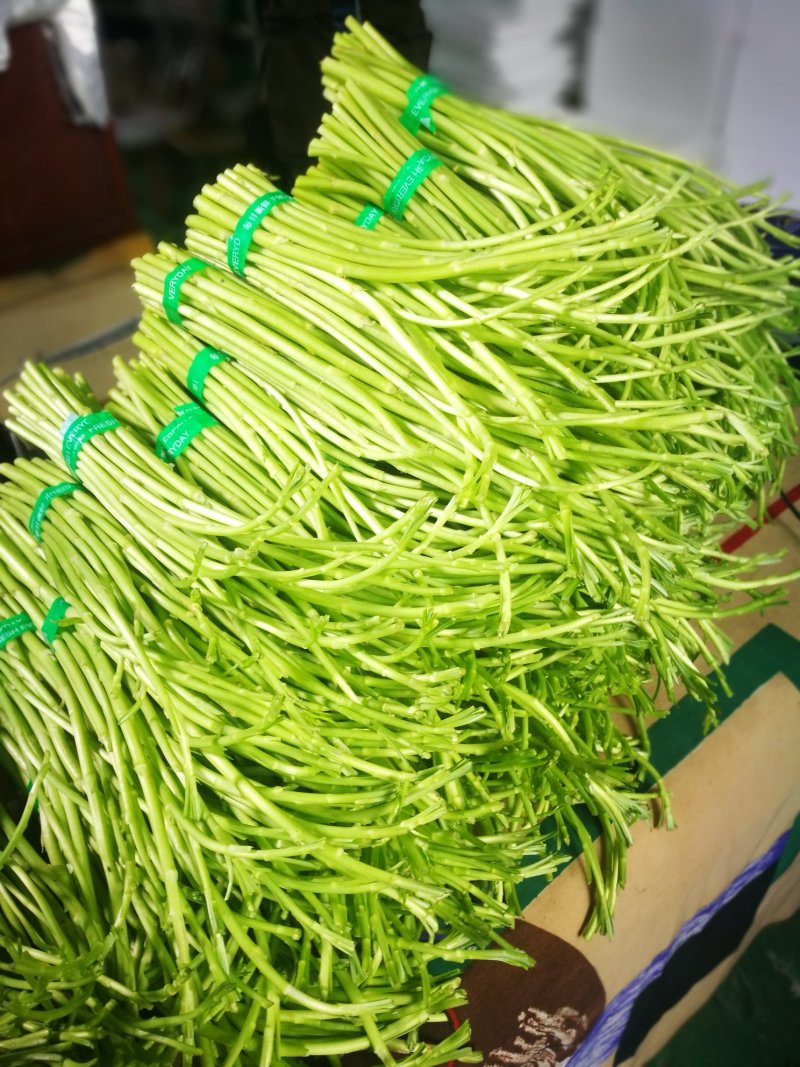 藜蒿芦蒿泥蒿去叶去根3斤装一件代发微商分销货源