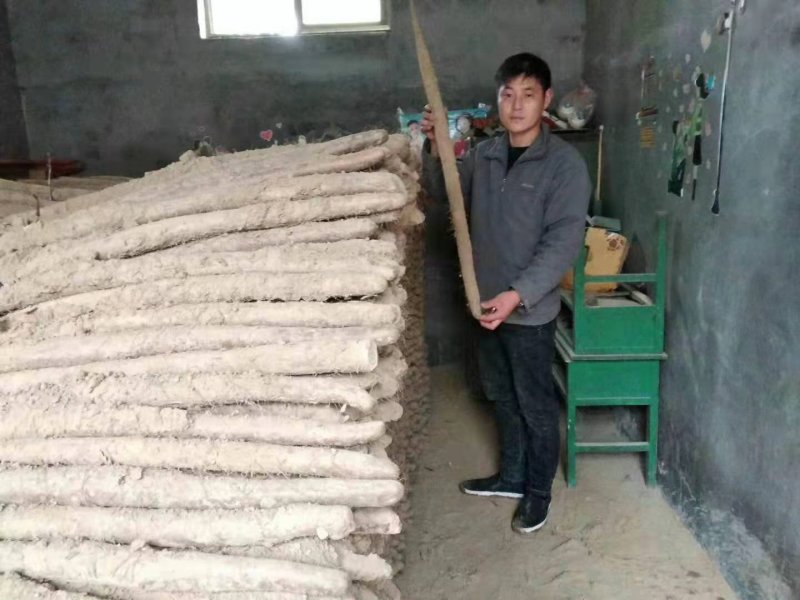 【全国发货】山东山药大量有货每天发车欢迎全国客户合作