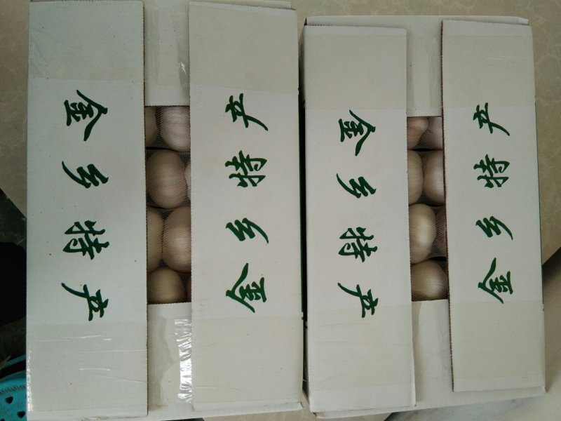 金乡大蒜优质常年代购