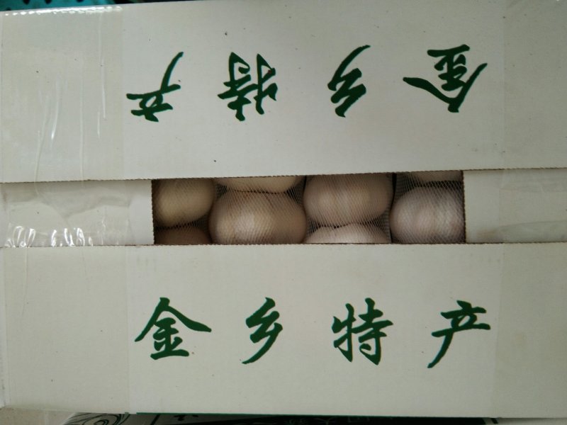 金乡大蒜优质常年代购