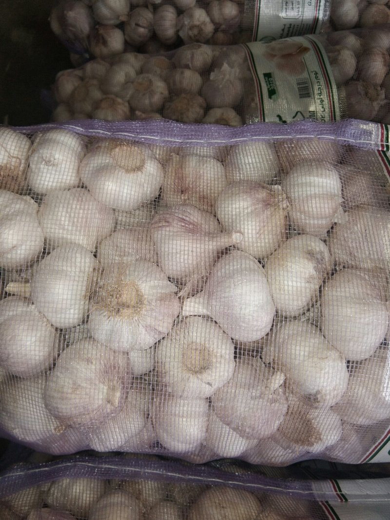 金乡大蒜优质常年代购
