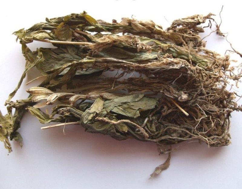 见血清，道地药材，质优价实，品质保证，药典标准，一公斤起