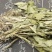 见血清，道地药材，质优价实，品质保证，药典标准，一公斤起