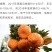 柑桔枝条南瓜柑枝条二十一根口感超甜外形独特