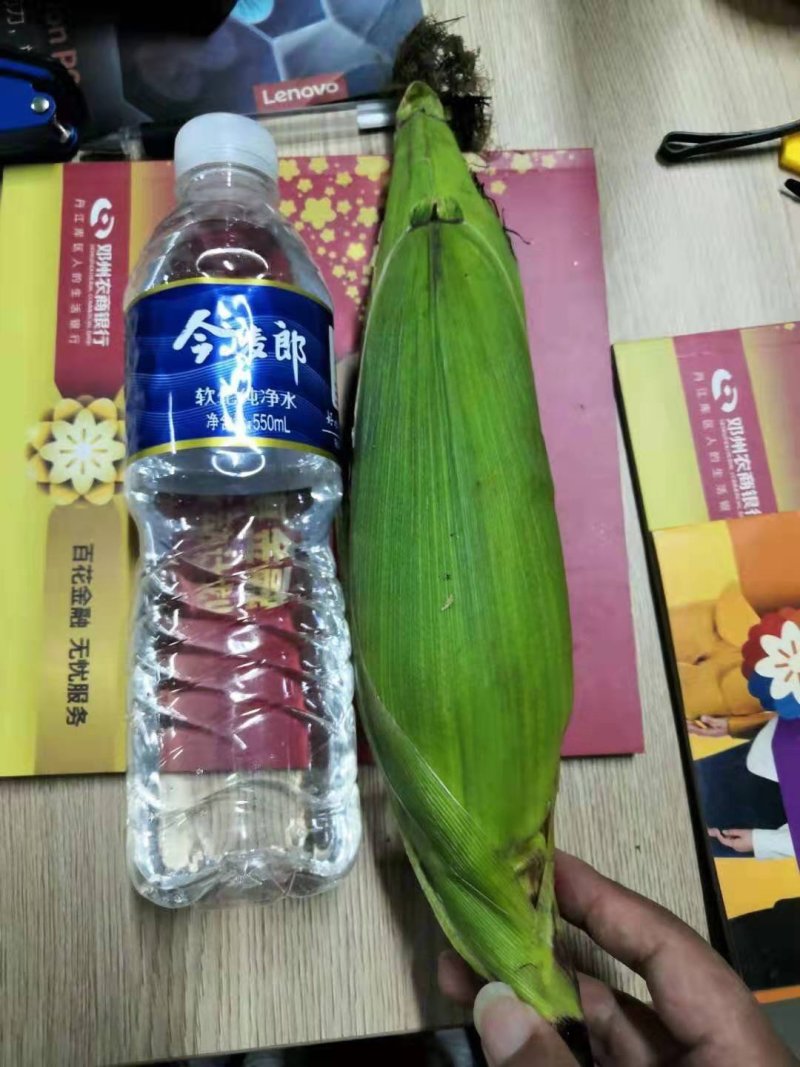 甜玉米，糯玉米农民盲目种植，滞销，滞销，
