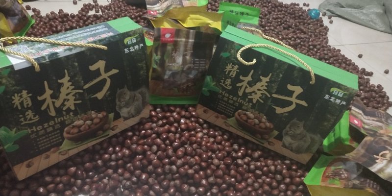 大榛子