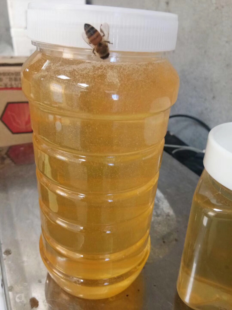 长白山土特产