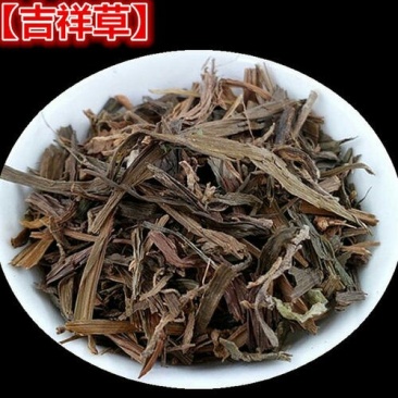 吉祥草千余品种供应承接订单