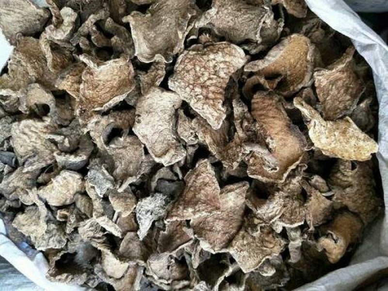 地不容千余品种供应承接订单