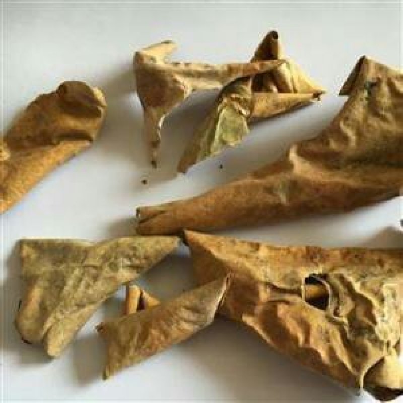 西瓜皮千余品种供应承接订单