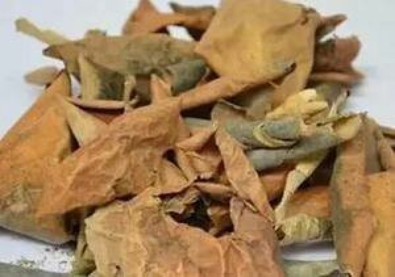 西瓜皮千余品种供应承接订单