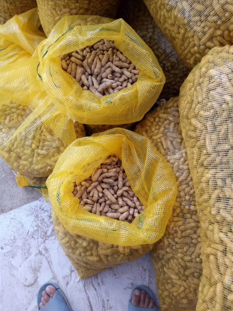 精选四粒红鲜花生，老度够，过筛子，手选果，量大从优