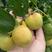 山东昌邑富硒大梨枣，万亩种植基地，完全自然成熟。。。。。