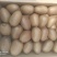 徐香翠香猕猴桃，产地直供量大从优全国发货