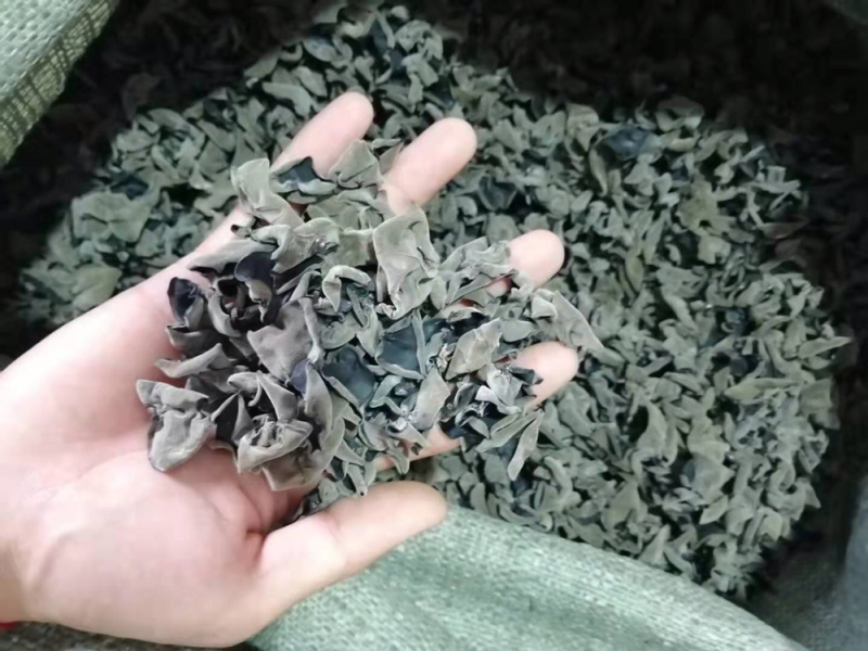 东北黑木耳产地直发食用菌各种档次一手货源支持一件代发