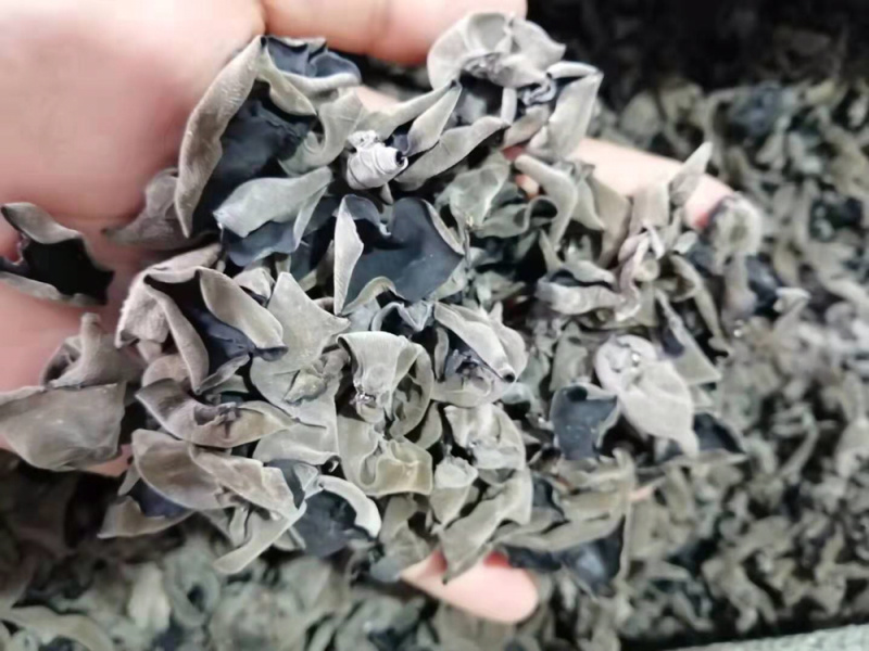 东北黑木耳产地直发食用菌各种档次一手货源支持一件代发