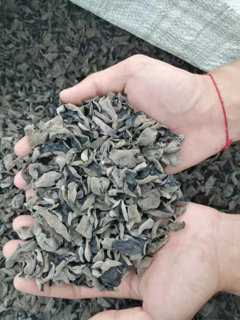 东北黑木耳产地直发食用菌各种档次一手货源支持一件代发