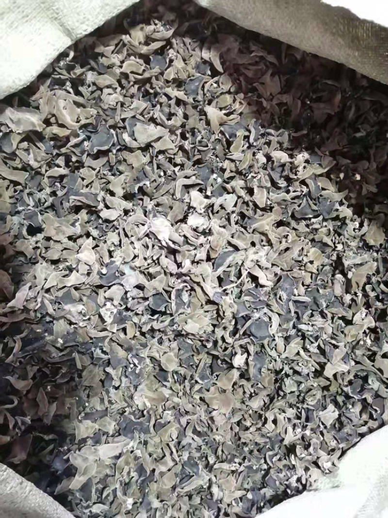 东北黑木耳产地直发食用菌各种档次一手货源支持一件代发
