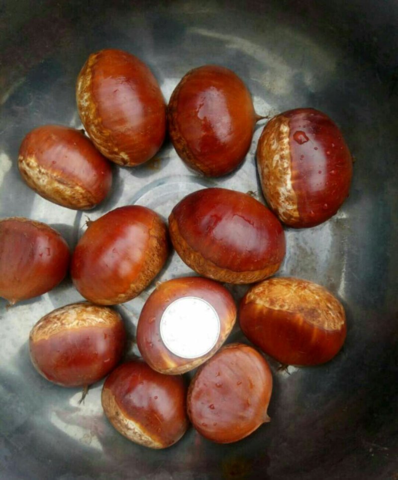 丹东板栗，主营金华丹泽，楚云，金华，桃李，黄蜂，等