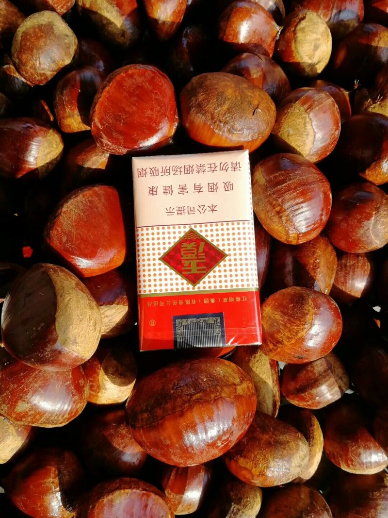 丹东板栗，主营金华丹泽，楚云，金华，桃李，黄蜂，等