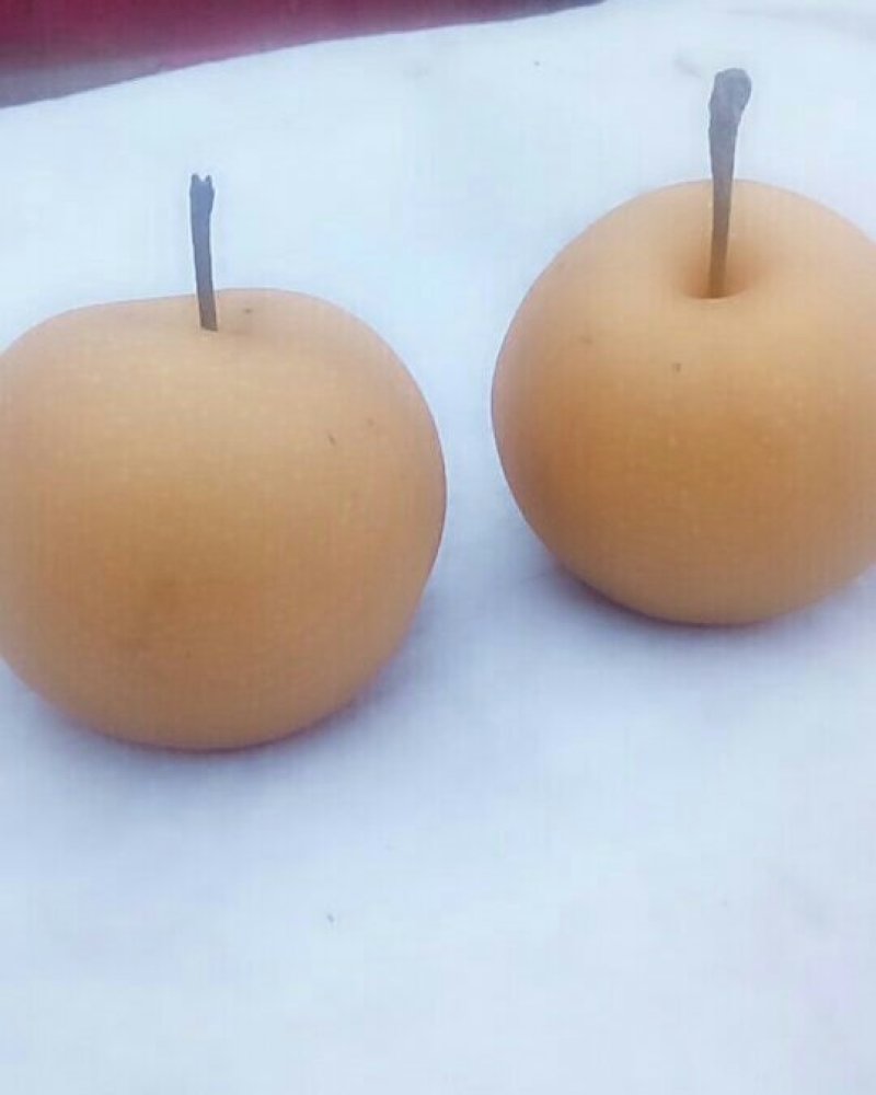 秋月梨亮丽上市