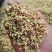 桂花茶野生桂花，桂花糕原料奇香原味桂花茶