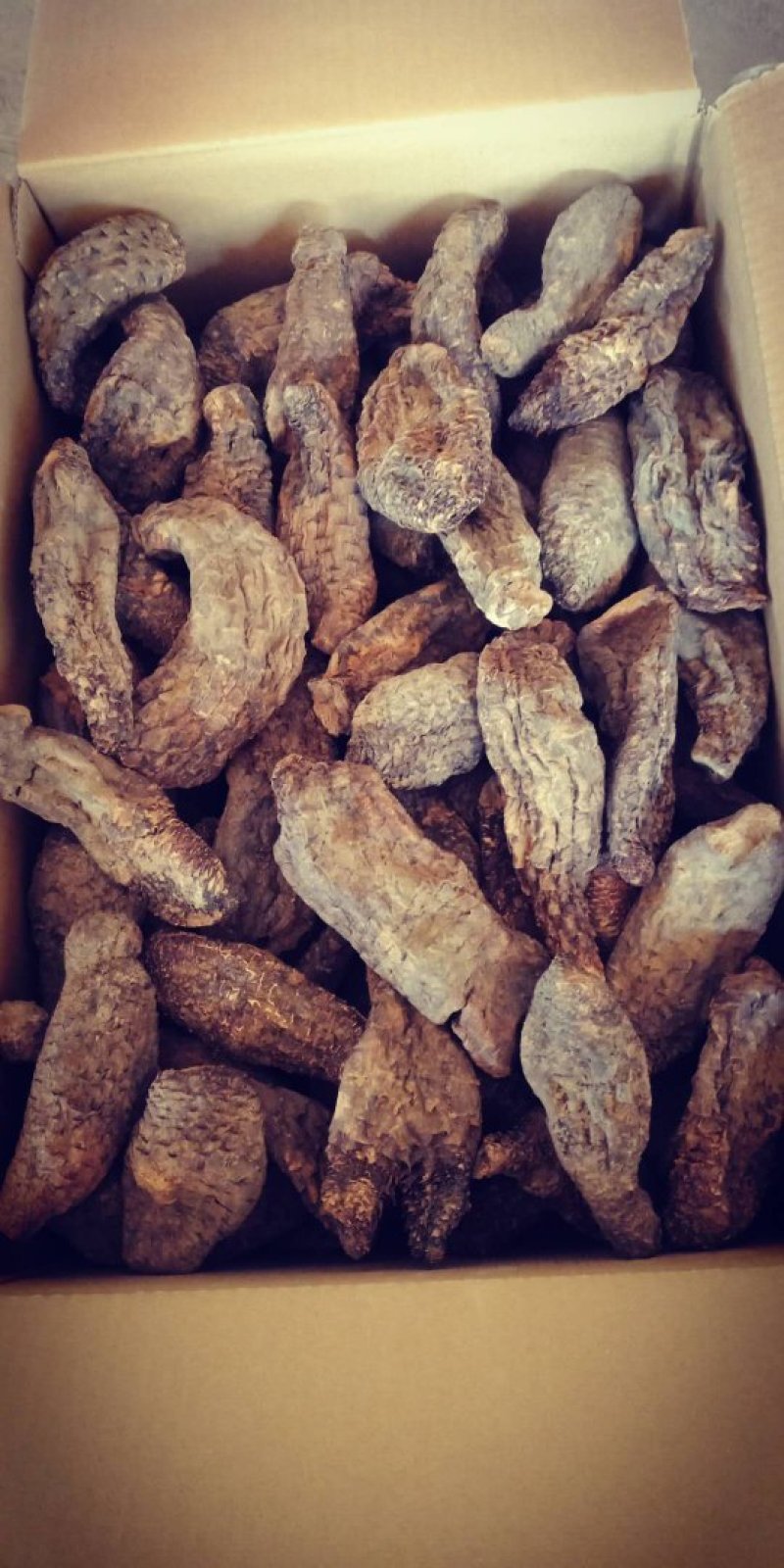 肉苁蓉中等胖子货，肉质干度好，一手货源