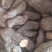 肉苁蓉中等胖子货，肉质干度好，一手货源