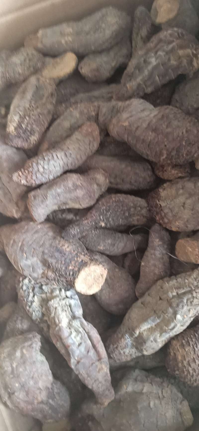 肉苁蓉中等胖子货，肉质干度好，一手货源