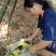 【推荐】干笋丝野生笋干笋干丝干度好干货用心做厂家直供品质