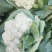 蔬菜