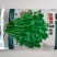 安瑟米3天香菜种籽进口耐热芫荽种籽原袋发货500克