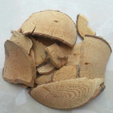 南蛇藤千余品种供应承接订单