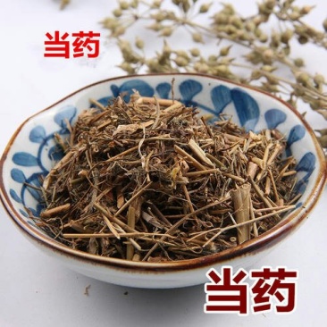 当药千余品种供应承接订单