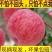 苹果红富士陕西果园直供肉厚皮薄口感脆带箱10斤装一件