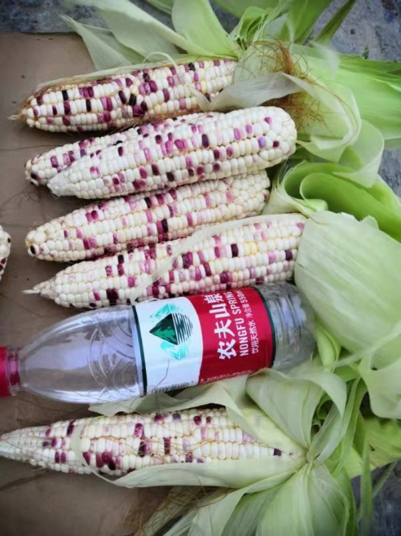 鲜玉米