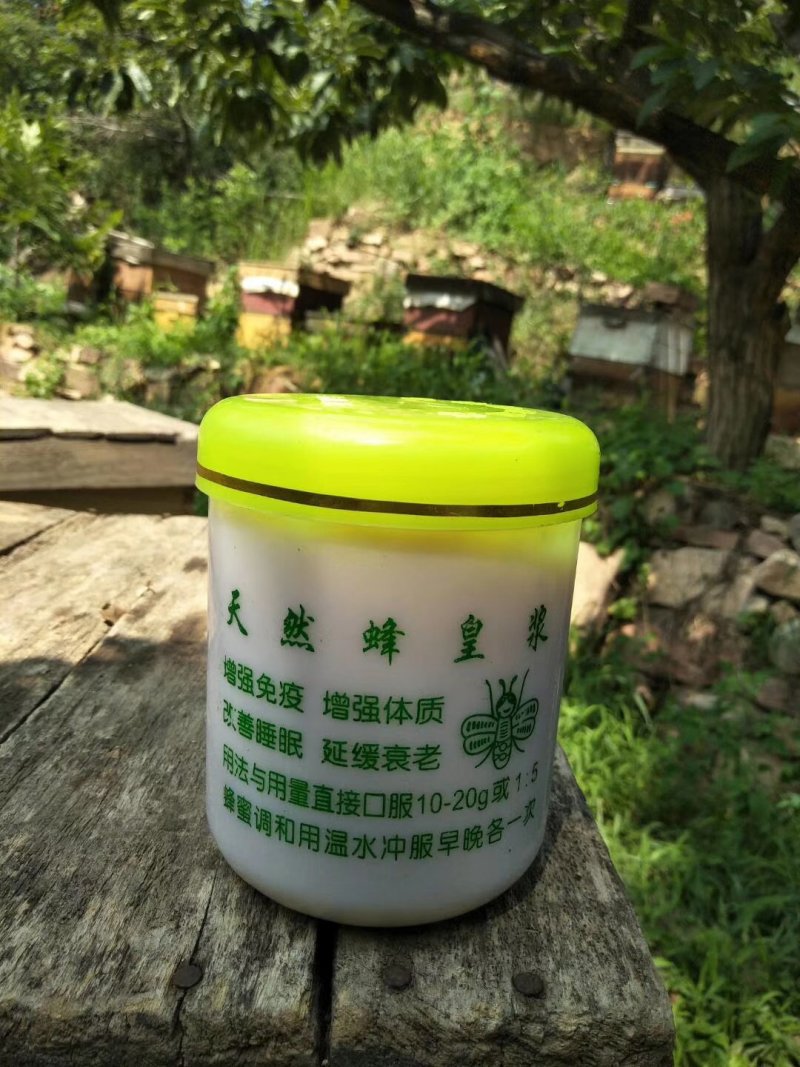蜂王浆